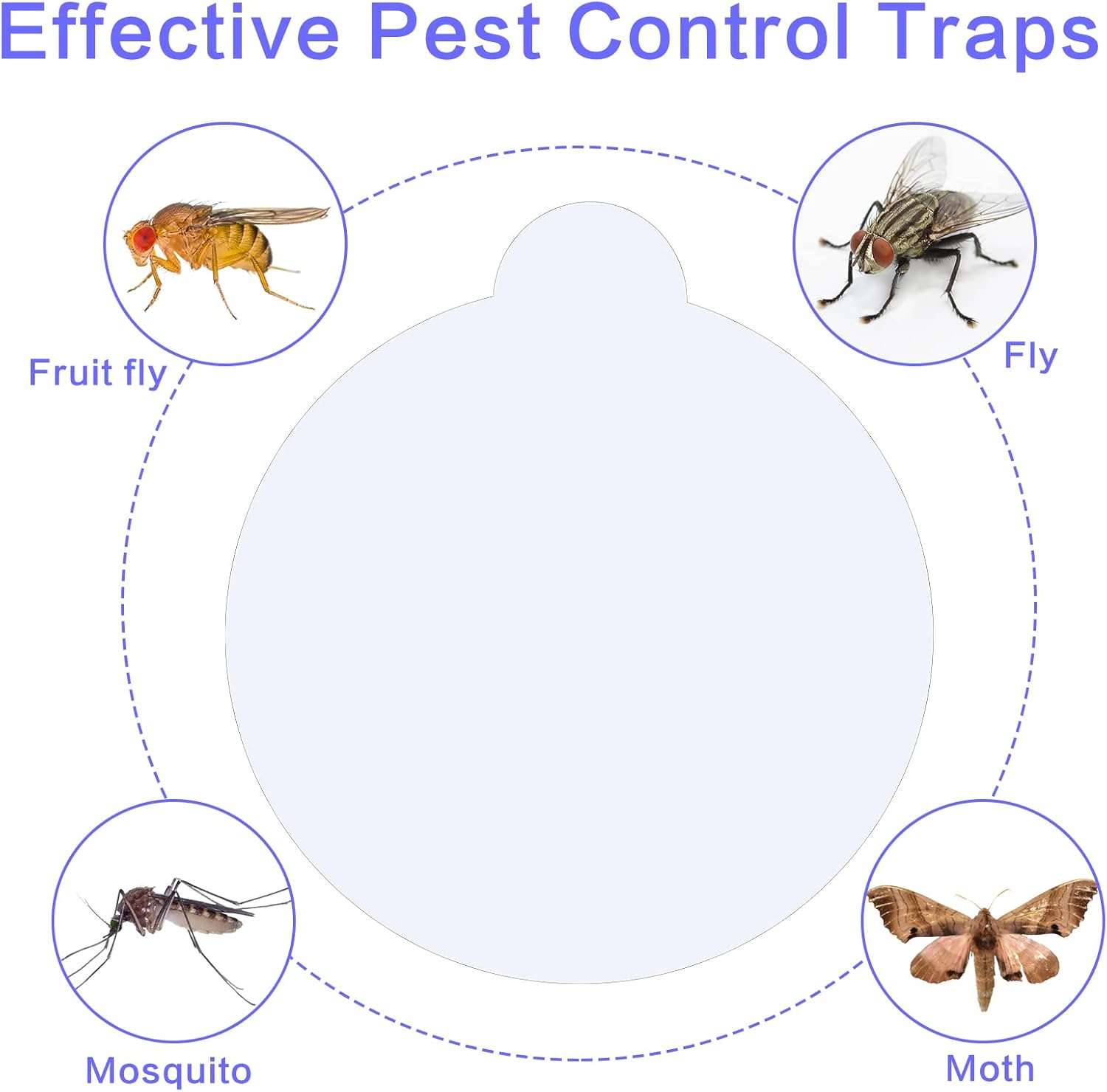Qualirey 144 Sheets Refill Glue Boards Mosquito Trap Indoor Flea Trap Refills Fly Glue Boards Discs Indoor Insect Trap 4.33 Inch Fits Most Models Mosquito Killer Lamp