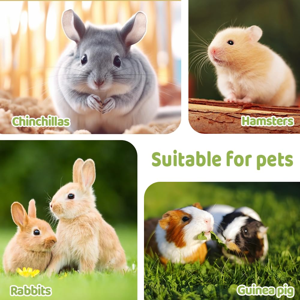 Bolsa de transporte de animales pequeños, bolsa de viaje portátil para mascotas con correa para el hombro y alfombrilla extraíble para hámsters, planeadores de azúcar y ardilla voladora