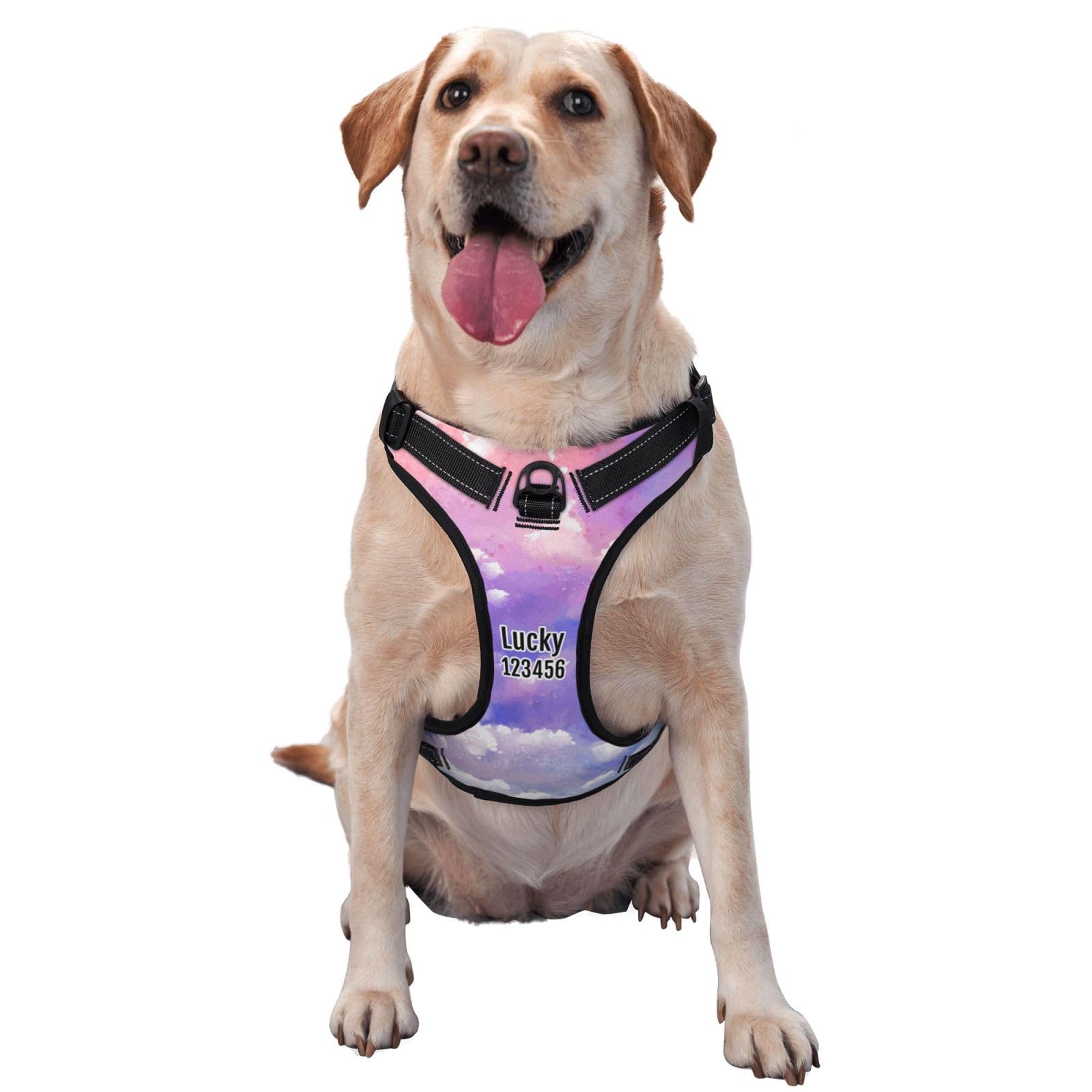 Personalised No Pull Dog Harness Leash Set with Name Phone Number - Custom Dog Vest, No-Pull Adjustable Reflective Pet Harness for Small Medium Large Dogs (S-XL)
