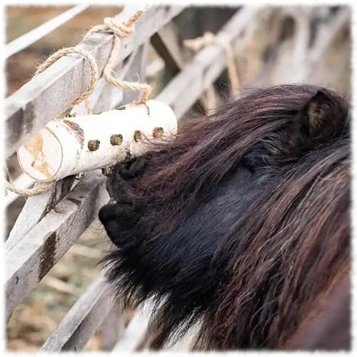 KNABBERLEIN Pferdespielzeug Birke Leckerli Bio Hanfsamen horizontal, zuckerfrei und getreidefrei als Knabberholz, gesund gegen Langeweile bei Boxenruhe, Spielzeug für Pferde Cover