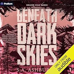 Beneath Dark Skies Audiolibro Por S.A. Ashburne arte de portada