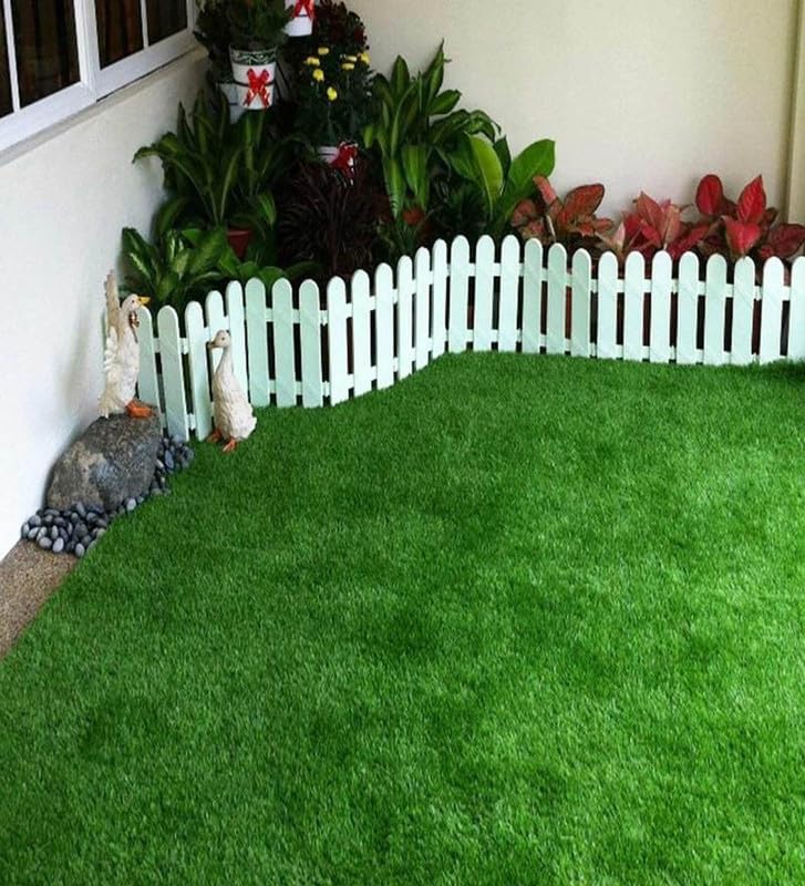 Lawn grass seeds for garden/Carpet grass seeds/lawn grass seeds pack of 36000 (B0CWDNWRPQ) Amazon Price History, Amazon Price Tracker