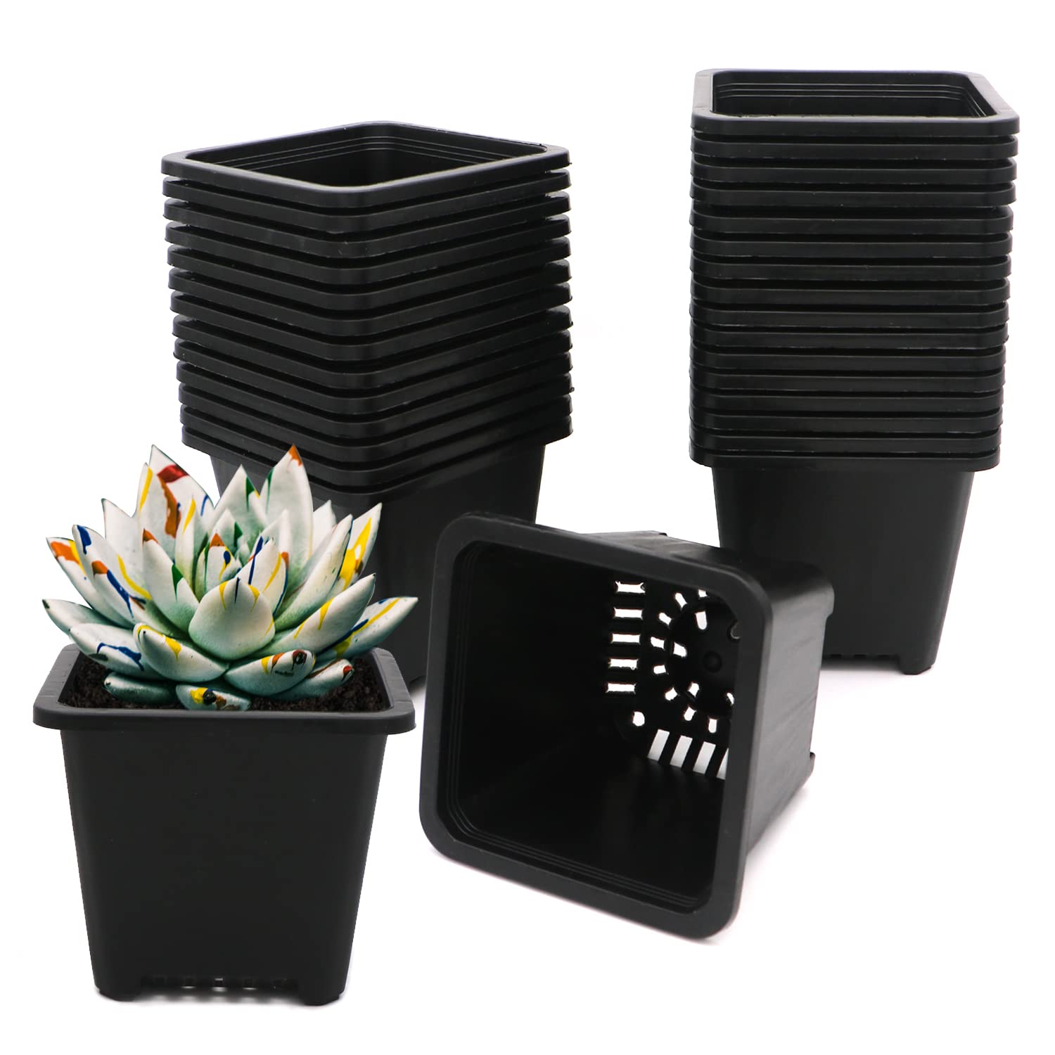 GGOUPTY Macetas de plástico para plantas, 30 unidades, 9,6 cm, color negro, de plástico, con borde reforzado, macetas de cultivo