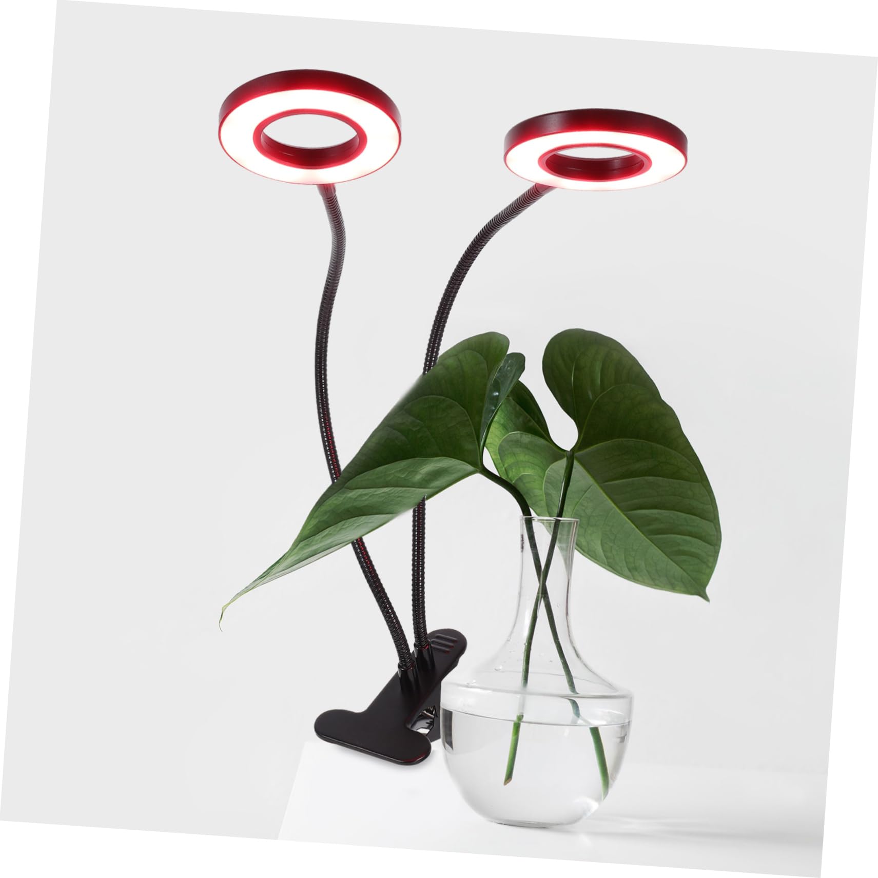 POPETPOP Lampe LED pour Plantes à Pince, Double Tête, Réglable, 5 V