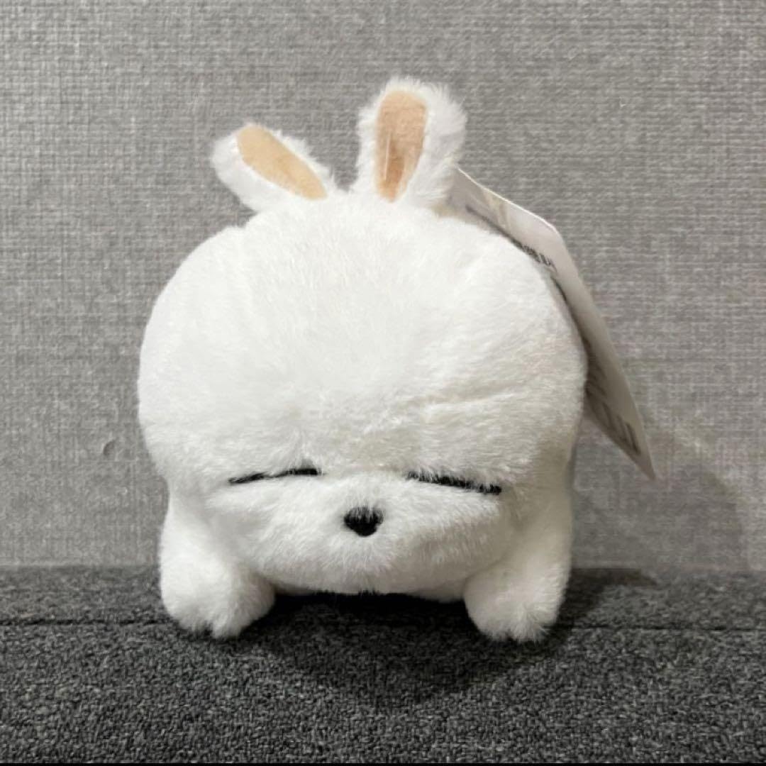 韓国iniminiチャーム♡Pooniうさぎ 🐰 久しぶりのシルバニアパーク💭 今回はショコラウサギちゃん