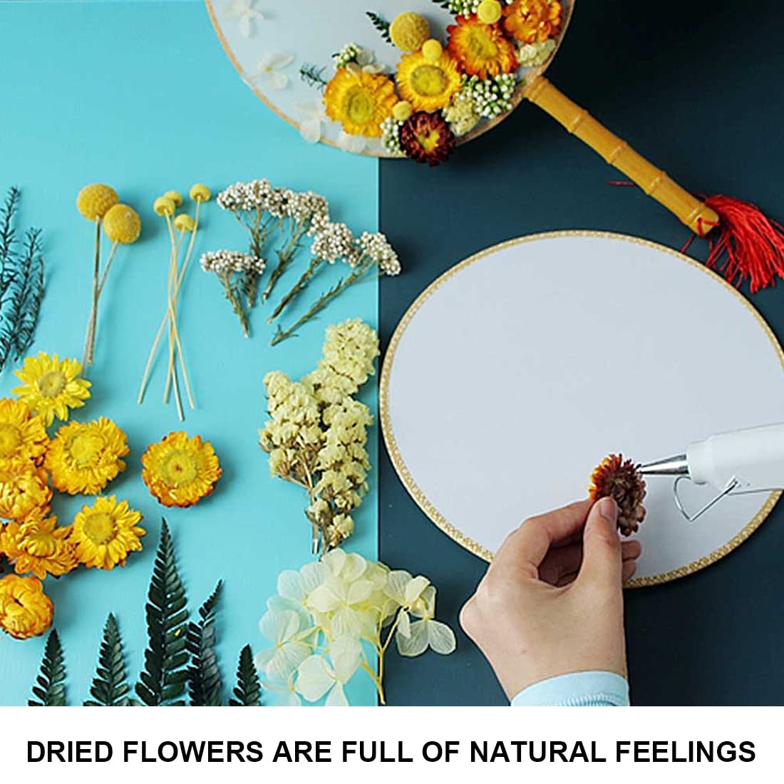Tomedeks Fleurs Séchées Fleur Bouquet Fleurs Sechees Naturel