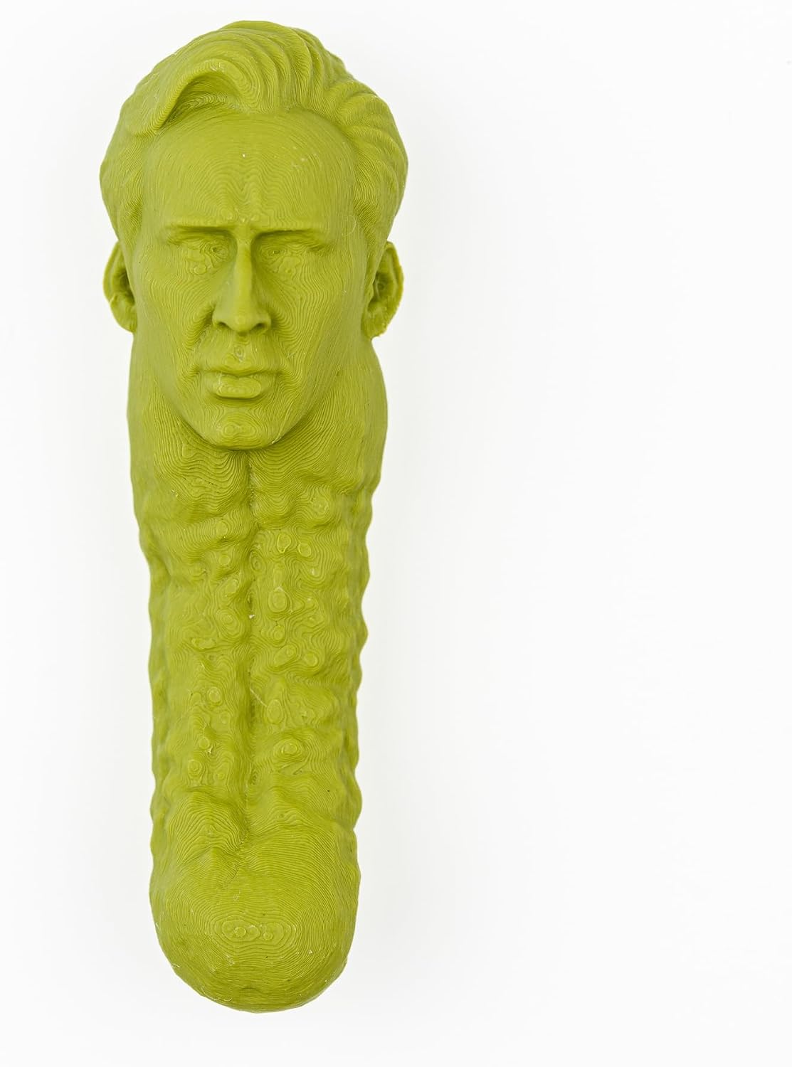 MO'FUN Picolas Cage Funny Magnet - Pickle Nick Nicolas Cage Pickle Magnet