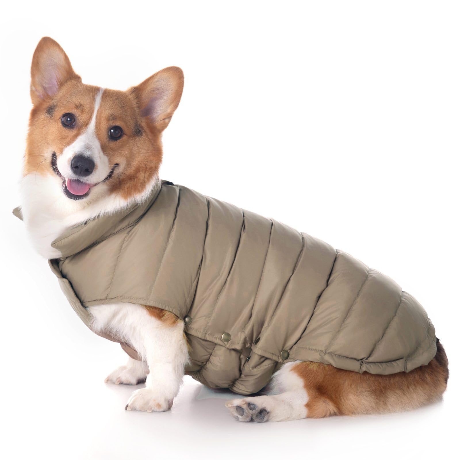Veste en duvet de canard pour chien imperméable et chaude 2XL