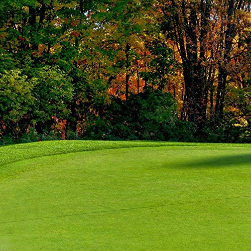 Best golf courses in britain