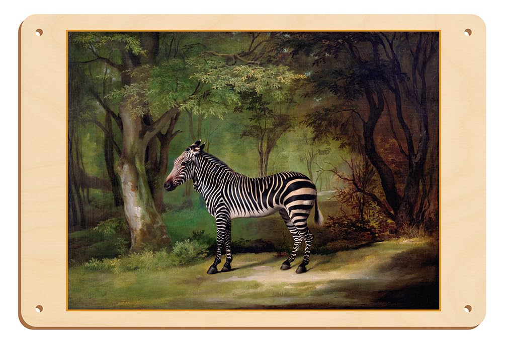 Amazon.com: Queen Charlotte's Zebra - From an Original Color