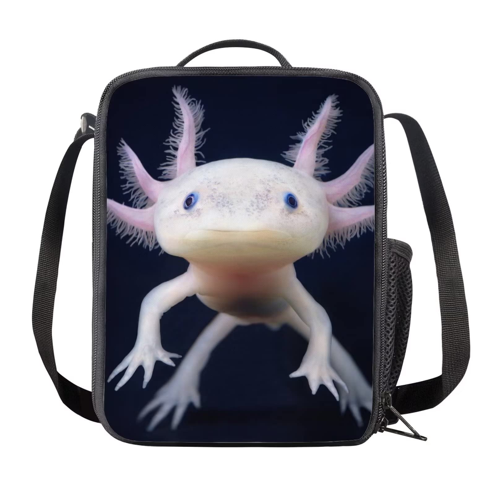 Galaxy Space Planet Lunch Box Borsa per il pranzo isolata
