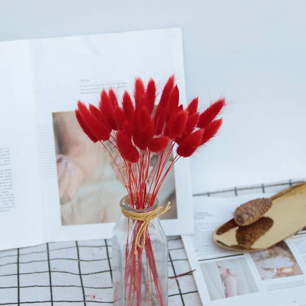 160 Pcs Natural Dried Lagurus Ovatus Flowers Artificial Uraria Picta Bunny Rabbit Tail Grass Bouquet Lagurus Plant Stems Eternal Real Flower Bouquet Bunche Photo Props Home Party&Wedding Decor