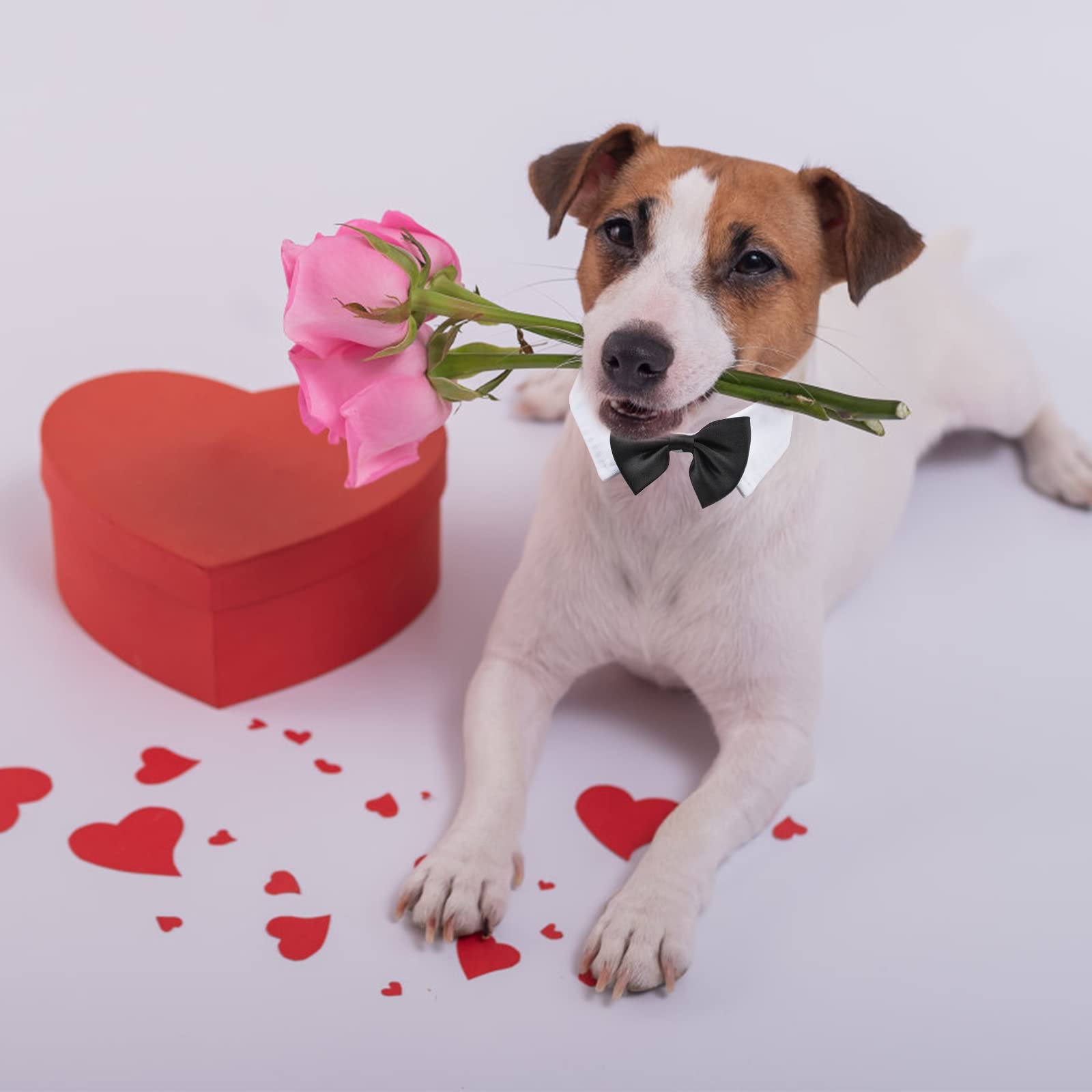 EORPAVU Cravatta E Papillon Per Cani E Gatti - Set 2 Pezzi Taglia L Per Occasioni Speciali - Foto 11