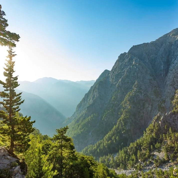 Miniatura 8 de Té de Creta  Té de hierbas sueltas de energía griega  Dittany of Creta, salvia, Tribulus  100% elaborado en forma silvestre, sin cafeína, natural,