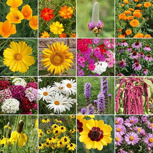 Image of Ferry-Morse Pollinator Lover's Bulk Wildflower Seeds, 200,000+, 1 lb