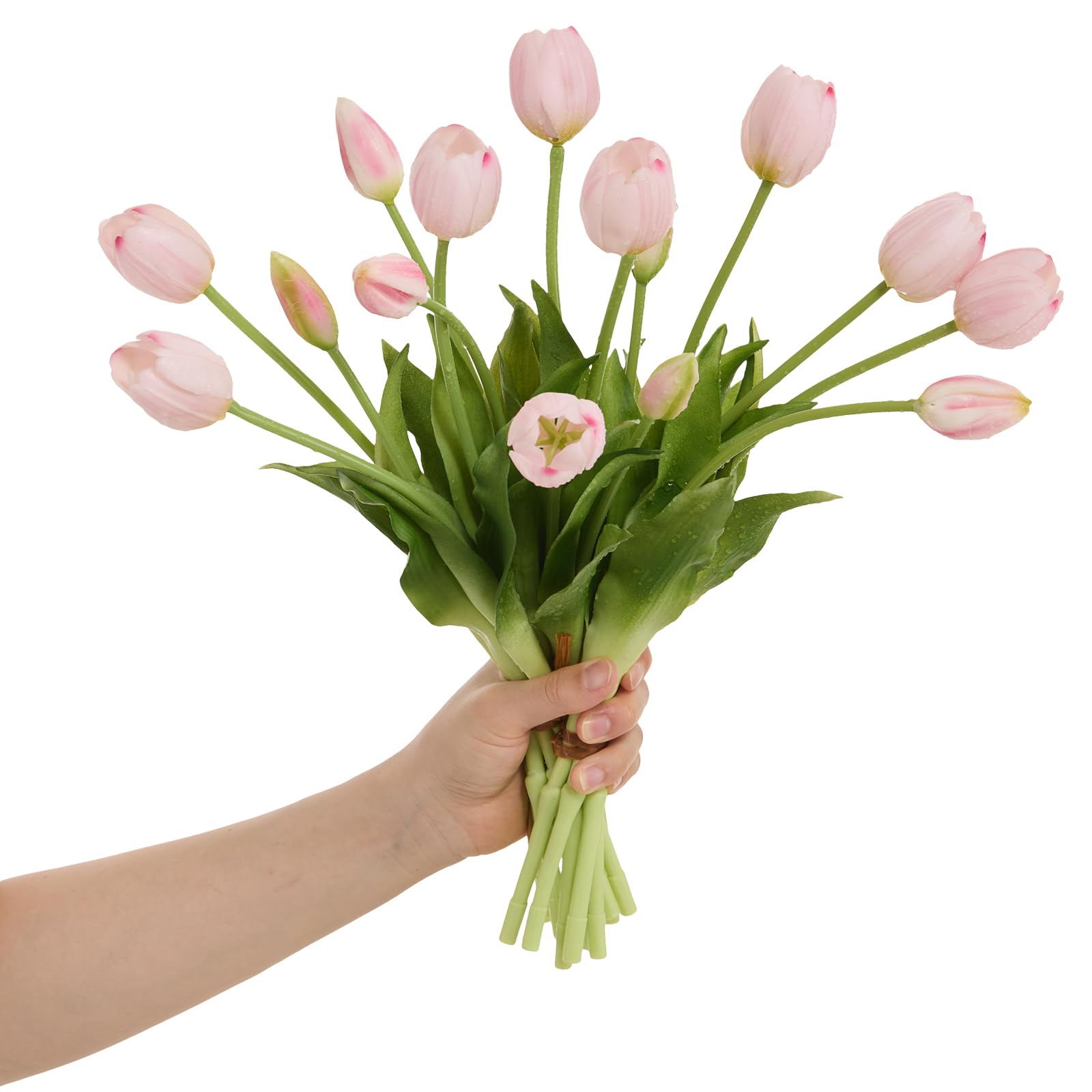 Amore Florals Light Pink Tulips