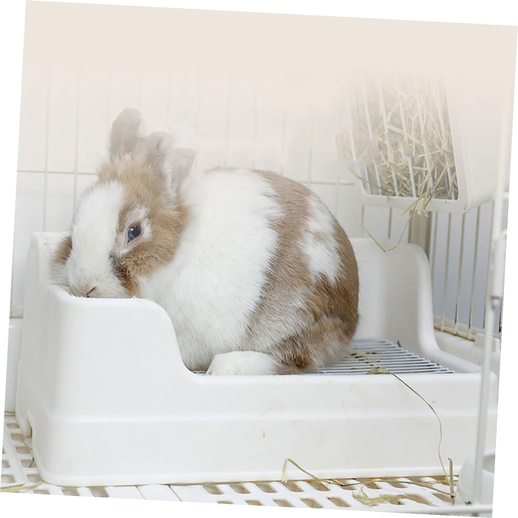 Große Kaninchenkäfig Toilette mit Niedrigem Einstieg und Zwei Teile Design