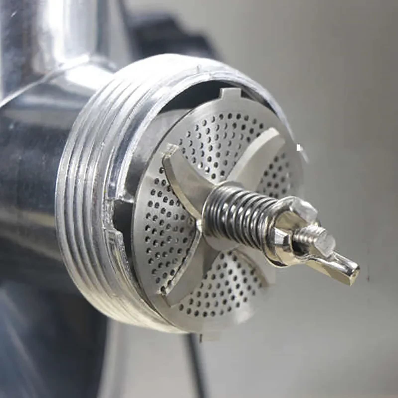 Elektrische Tierfutter-Pelletmaschine mit 3,5/4/5/6/7-mm-Formen, Vogelfutter-Extruder, kleines Haushaltsverarbeitungsgerät