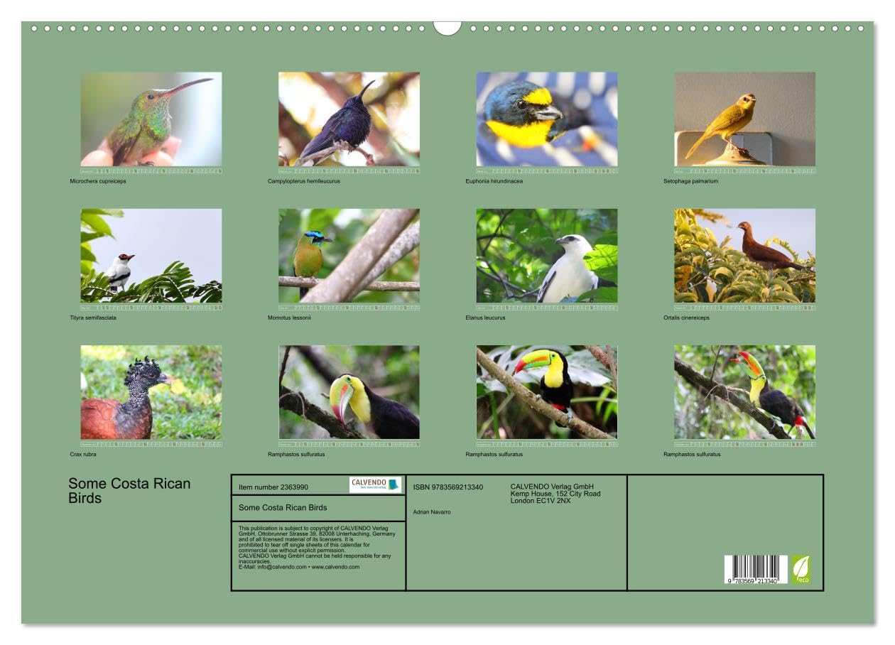 Some Costa Rican Birds (Wall Calendar 2027 DIN A2 landscape), CALVENDO 12 Month Wall Calendar: Enjoy a little of the great biodiversity you can find in Costa Rica