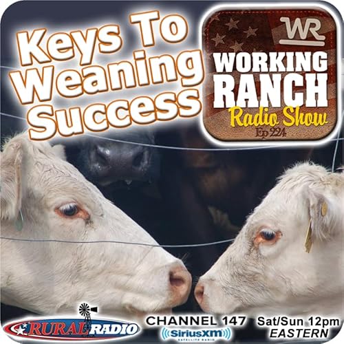 Ep 224: Key To Successful Weaning w Dr. Ron Lemenager cover art