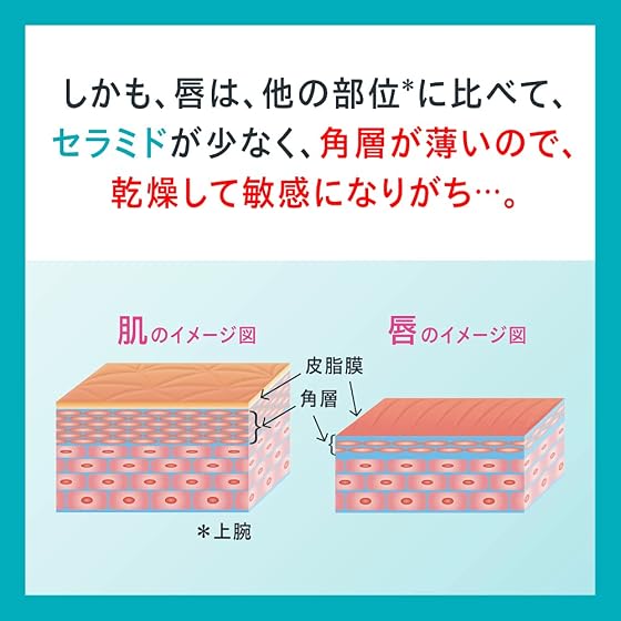 花王 キュレル リップケアバームの商品画像