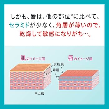 ⭐︎yｕmさま専用⭐︎高保湿クチュール リップ バーム　新品4本セット　000番 Amazon.co.jp: キュレル リップケアバーム 無香料 4.2グラム (x