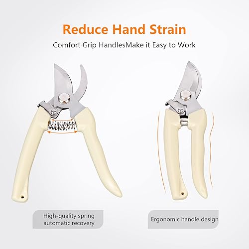 Miniatura 5 de Tijeras de jardín para plantas, tijeras de podar de punta para cortar flores, recortar plantas, cosechar bonsái y frutas (podadora de hoja de