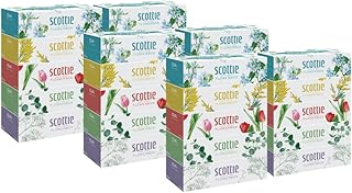 【スコッティ】ティシュー フラワーボックス 250組 5箱パック×6セット 合計30箱 ティッシュ 日用品 生活必需品 消耗品 紙 まとめ買い 備蓄 防災備蓄 デザインボックス