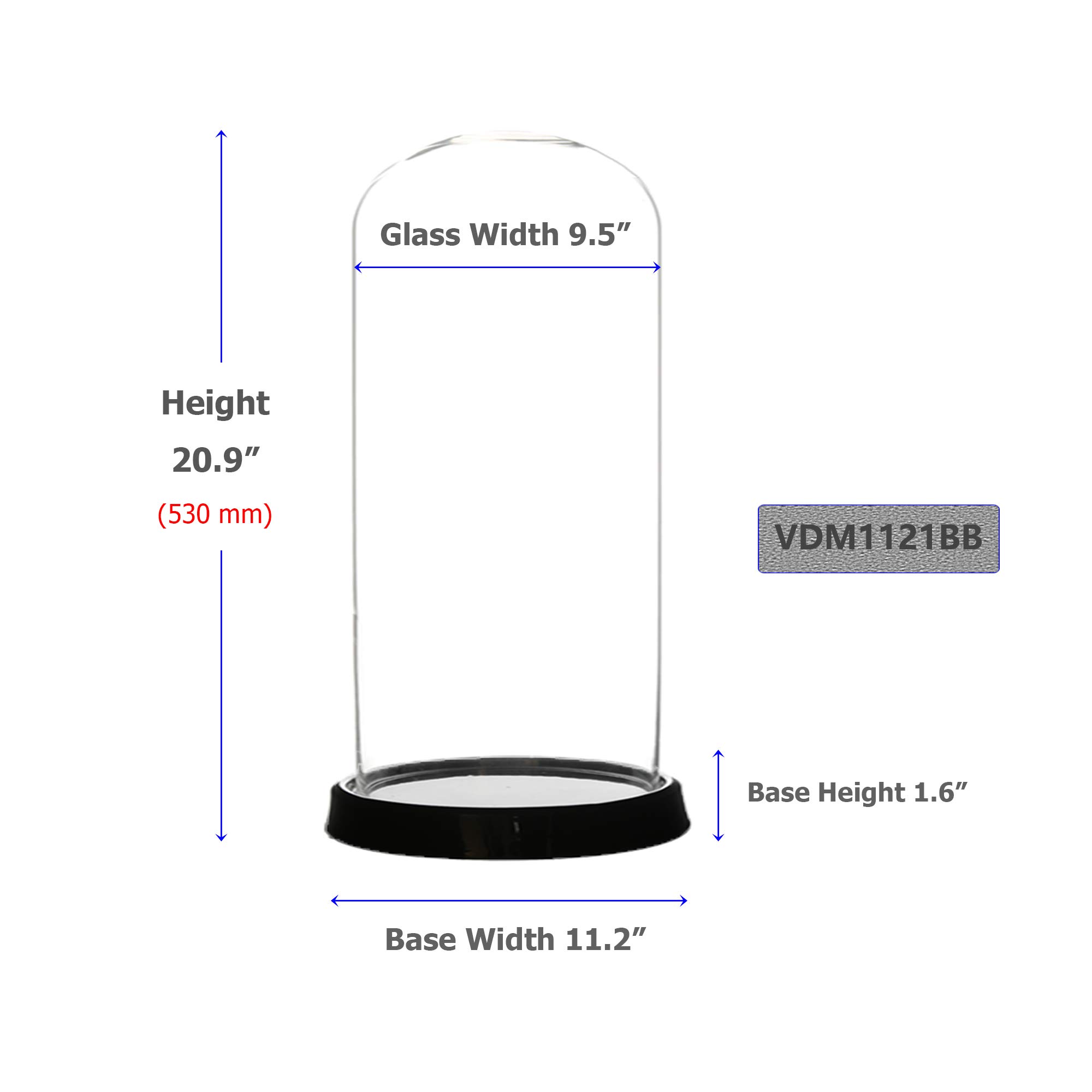 WGV Glass Display Dome Cloche, Diameter 10