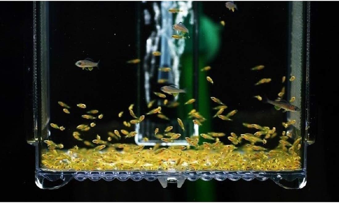 ZISS BL-2 EZ Breeder Fish & Shrimp Separating Box Aquarium Breeding Hatchery Box 2.4L Large Size