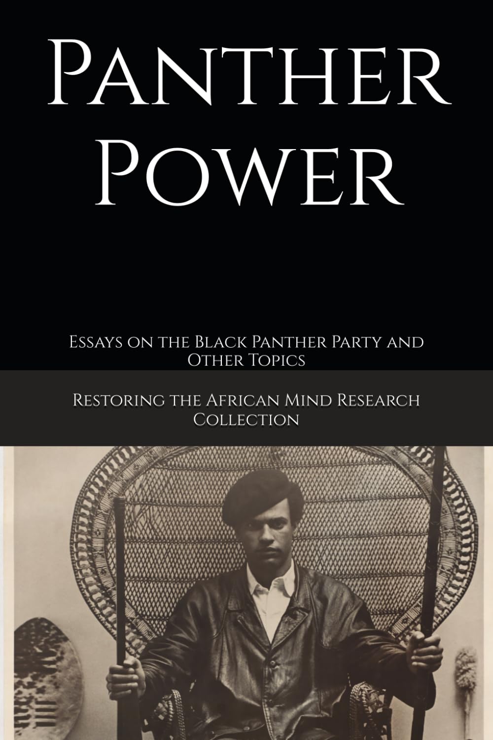 Panther Power: Essays on the Black Panther Party and Other Topics (Black Resistance and Revolution Collection)