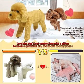 いぬズ foxrepublic_postcard-dog-sh2-2