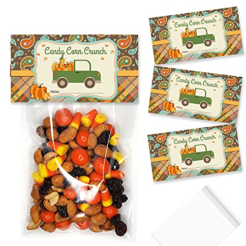 Sacs autocollants vert et décorations pour biscuits et cadeaux de fête x20