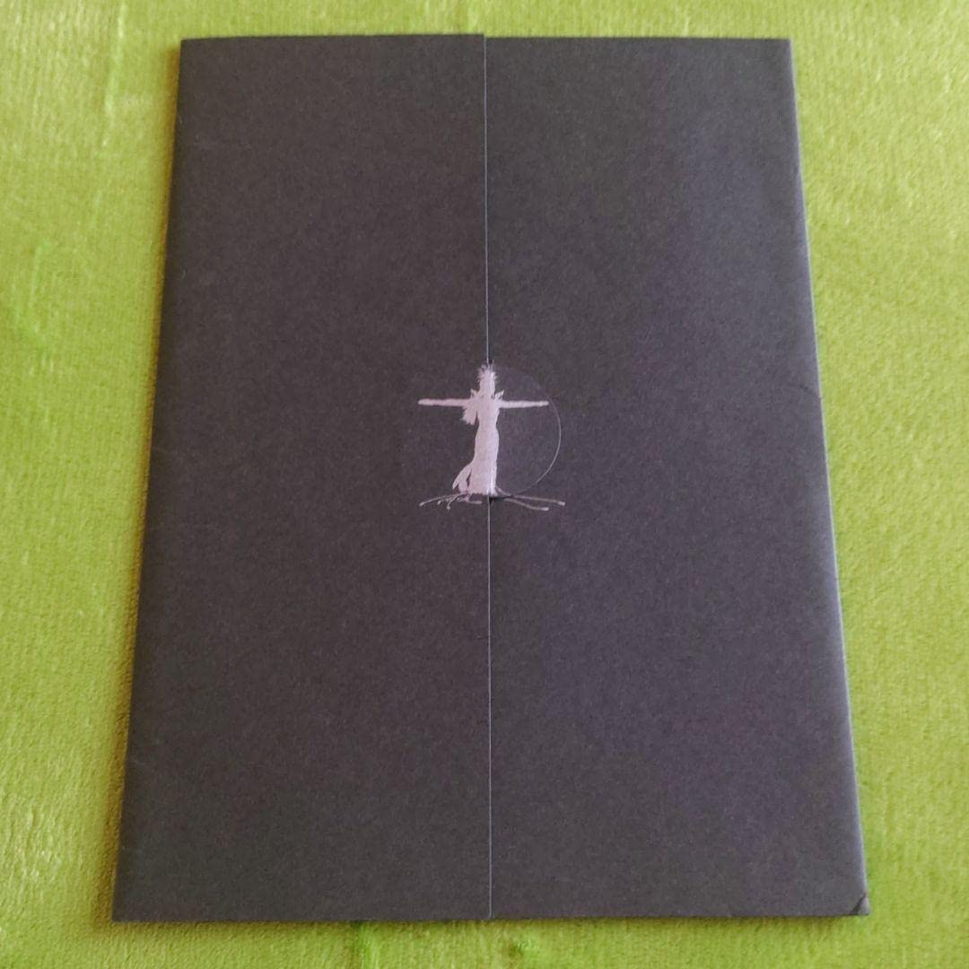 Amazon.co.jp: 平沢進 P-MODEL Sim City シムシティ PHOTOGRAPHS