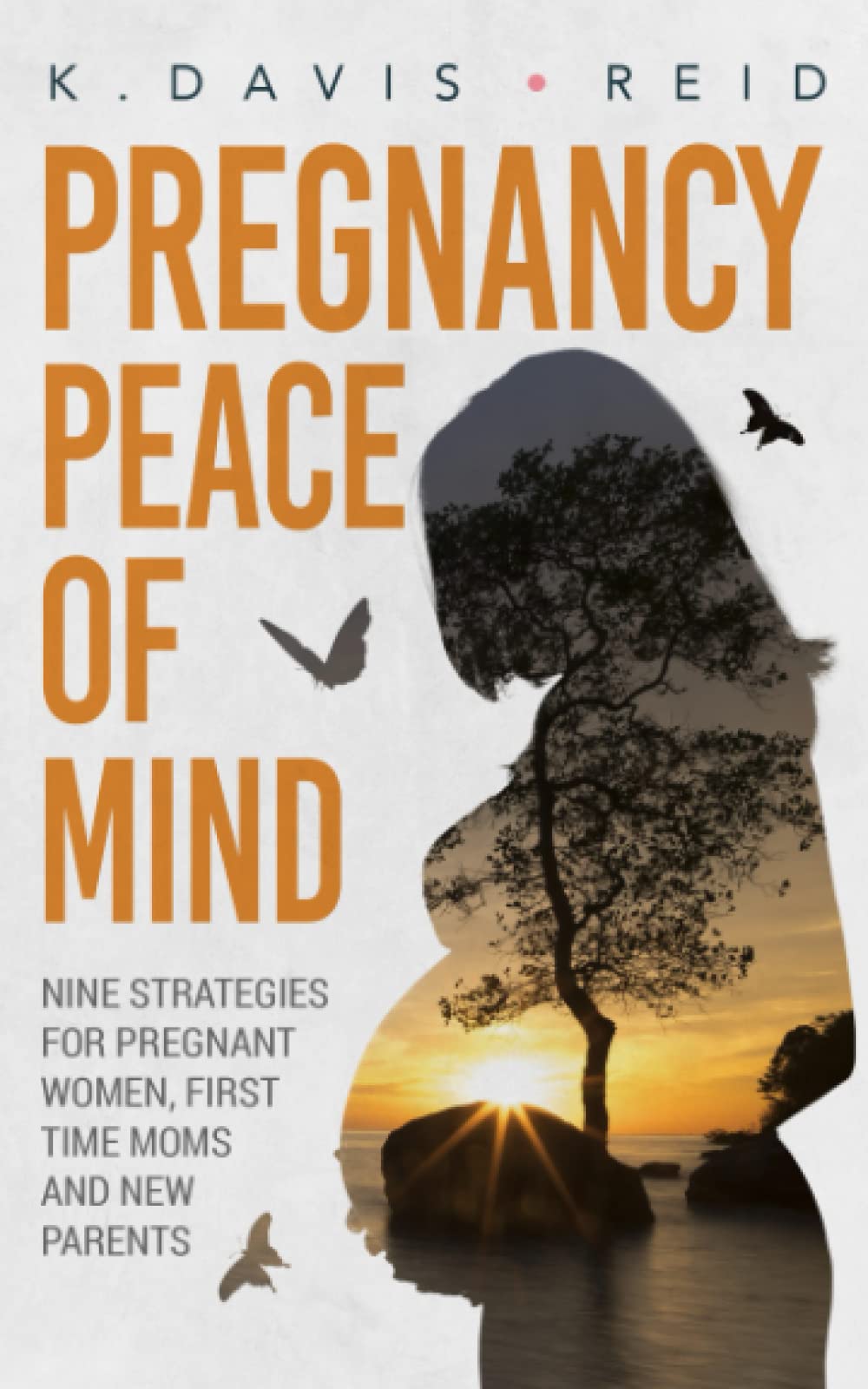 Pregnancy Peace of Mind: Nine Strategies for Pregnant Women, First Time Moms and New Parents