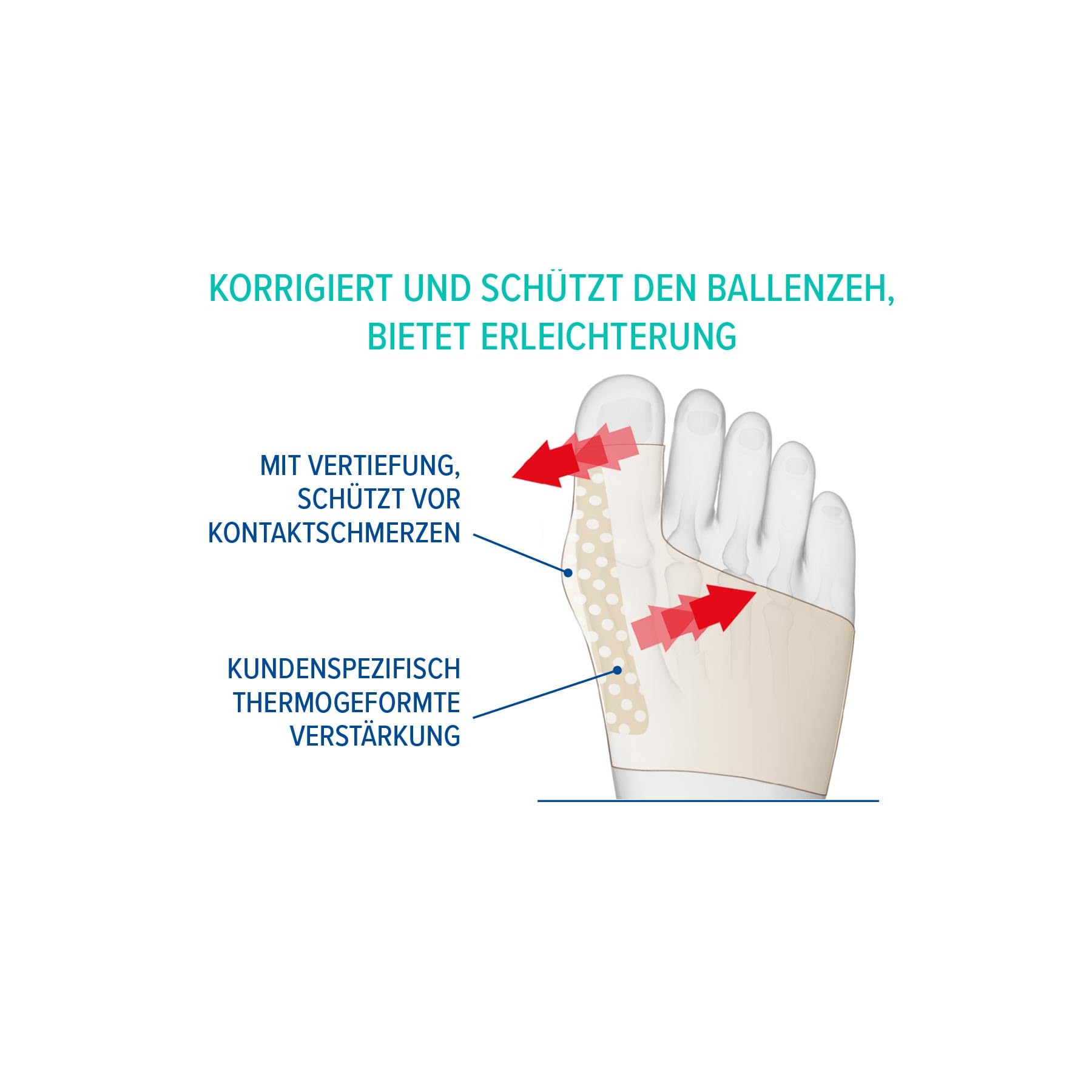 Epitact | Hallux Valgus Flexible Korrekturbandage Für Der Nacht Begrenzt Die Entwicklung Des Hallux Valgus & Lindert Schmerzen Während Aktiven Tätigkeiten Am Tag Für Beide Füße (L)
