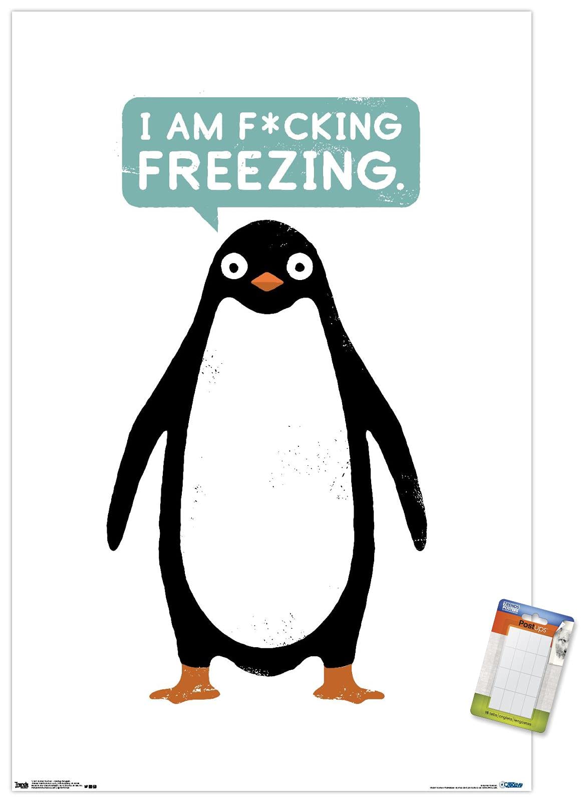Poster pingouin David Olenick impression supérieure haute définition avec kit de support - 7