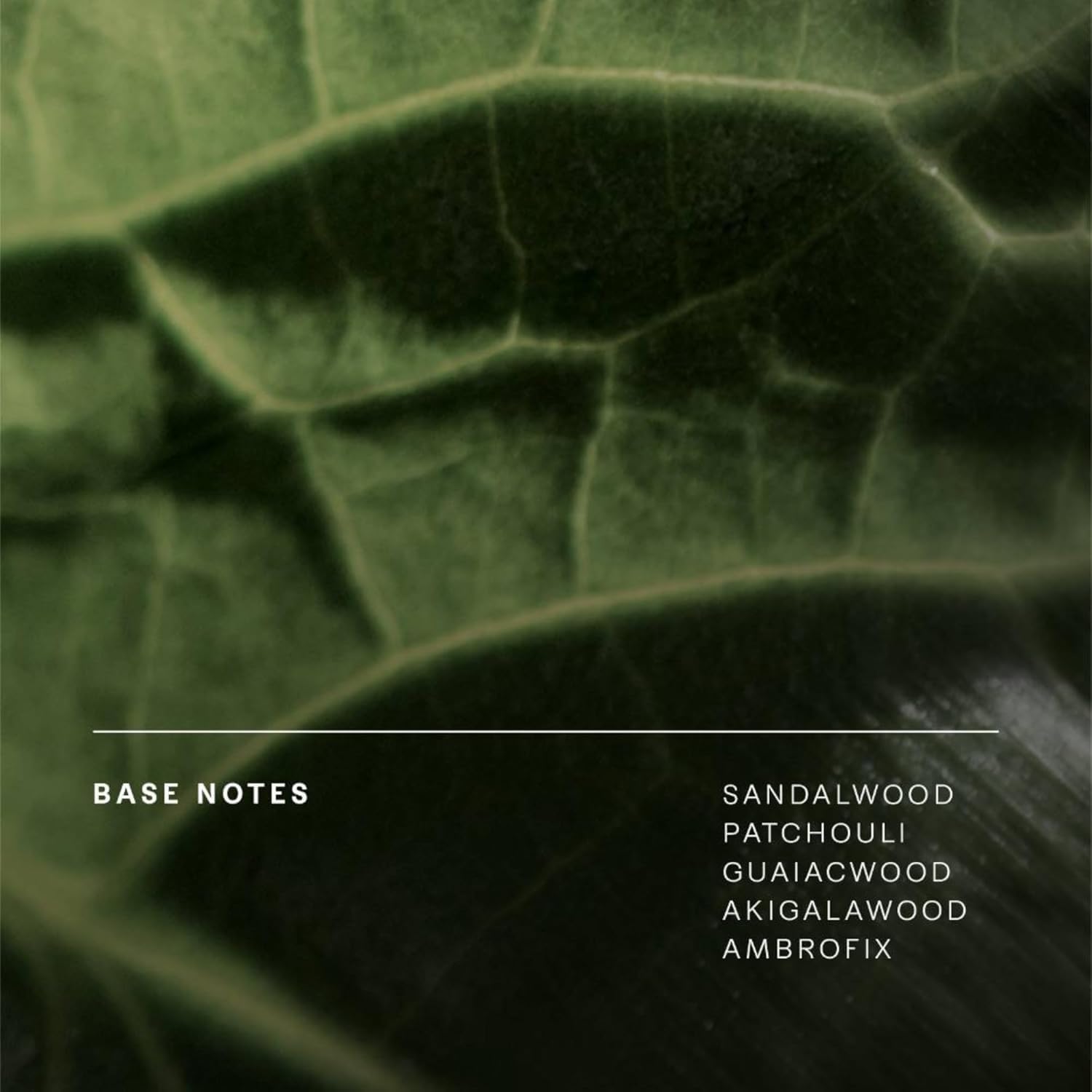 Future Society Grassland Opera Perfume - Rich Green Floral Eau de Parfum with Notes of Sage, Ginger, Ylang Ylang & Sandalwood - Luxury Perfume Inspired by Prairies - Modern Unisex Fragrance - 50ml - Image 9