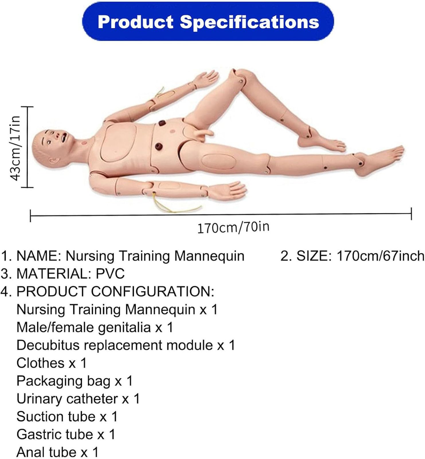 Générique Mannequin médical de soins aux patients homme-femme avec 4 modules musculaires et urinaire,Male