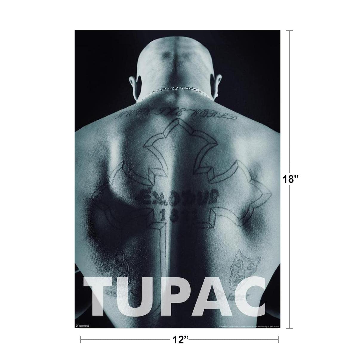 Amazon.com: Tupac Posters 2Pac Poster Back Tattoo 90s Hip
