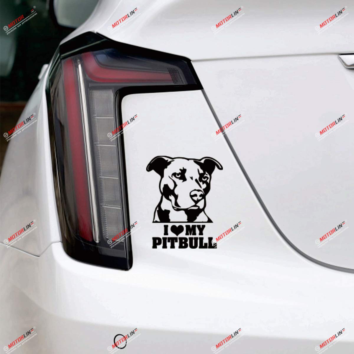 Pitbull In Harness Car Window Decals & Stickers | Decal Junky