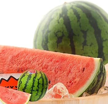 すいか Amazon.co.jp: すいか 松本ハイランドすいか A等級 5Lサイズ以上 約
