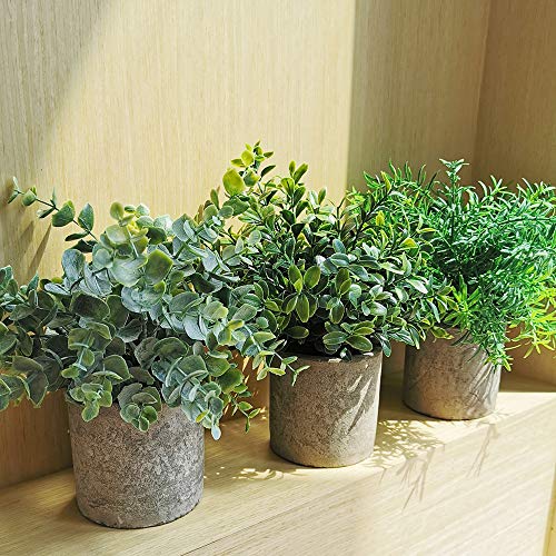 Winlyn Mini Potted Plants Artificial Eucalyptus Boxwood Rosemary Greenery In Pots Faux Potted Herbs Small Houseplants 8.3"-9" Tall For Indoor Greenery Tabletop Décor Centerpiece 3 Pack #TOP5