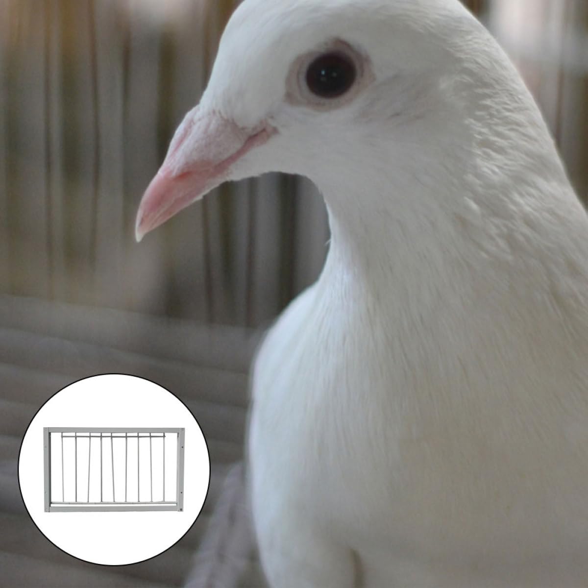 MAGICLULU Puerta para Jaula de Pájaros 2 Piezas 40x26 Cm de Hierro Reforzado para Aves y Pájaros, Diseño Seguro en T, Suministros para Jaulas en Granja y Cuidado de Aves de Corral