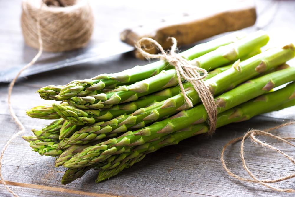 Mary Washington Asparagus Roots