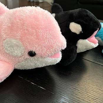 Amazon.co.jp: 鴨川シーワールド シャチ ぬいぐるみ 3個セット