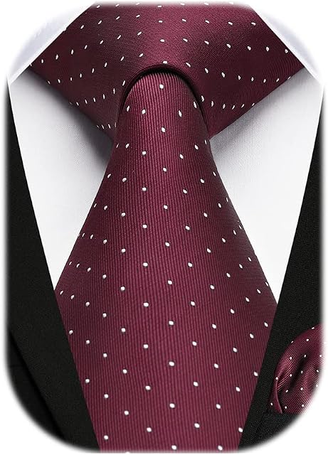 HISDERN Dot Ties for Men Wedding Tie Handkerchief Formal Business Necktie & Pocket Square Set