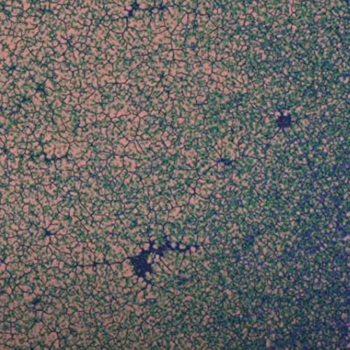 Living Data: EP01 - Drought Cycles