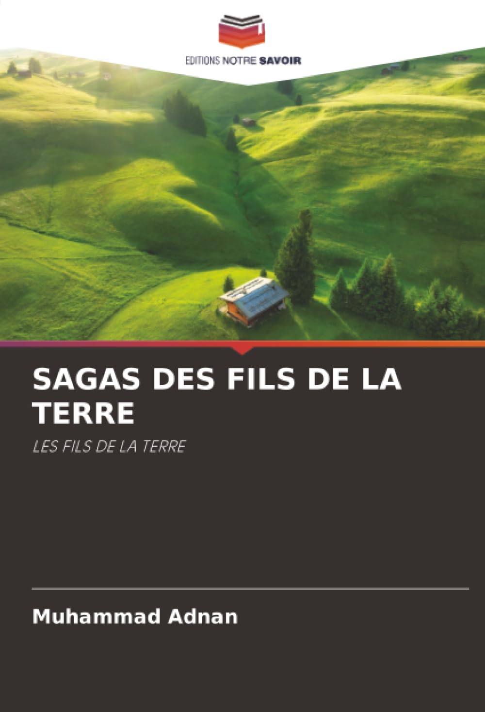 SAGAS DES FILS DE LA TERRE: LES FILS DE LA TERRE