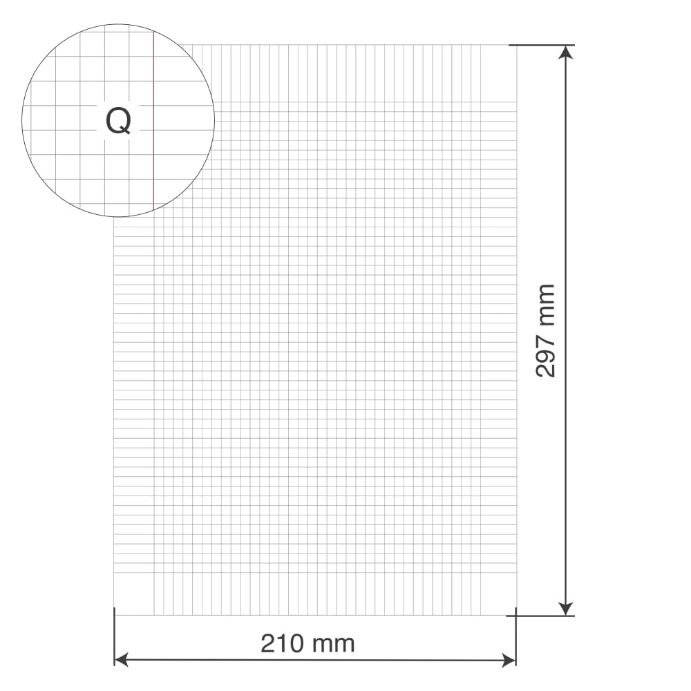 BM BeMore Carta Protocollo A4 Rigatura Q Quadretti 5mm 60 g/mq 200 Fogli